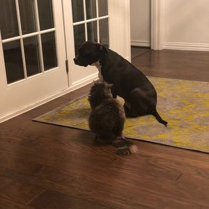 Meet your Posher, Tyler